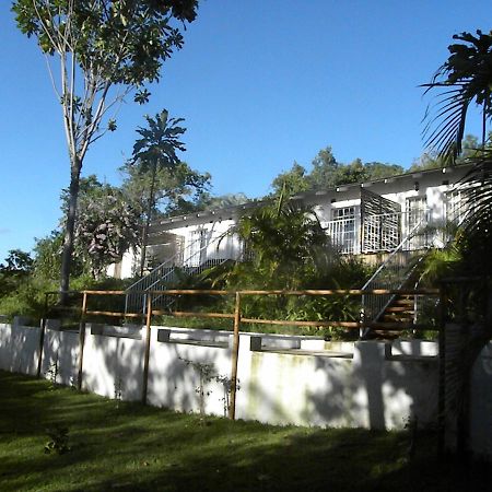 הוילה האזיביו Bush Baby Glen מראה חיצוני תמונה